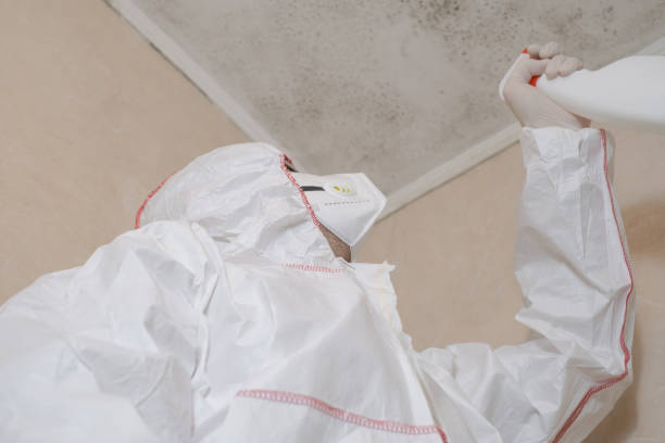 Best Bathroom Mold Remediation in Roland, AR