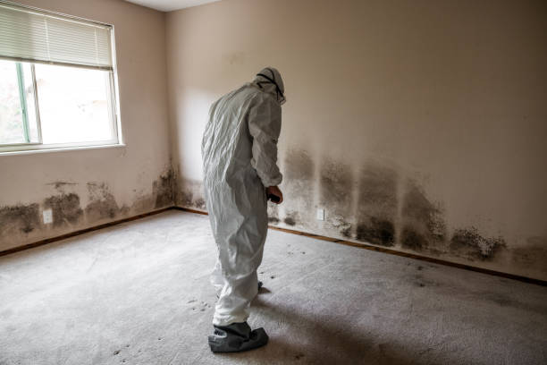 Mold Remediation for Historic Buildings